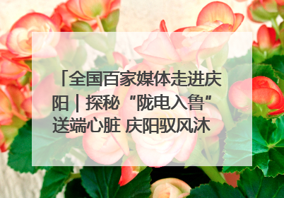 全国百家媒体走进庆阳｜探秘“陇电入鲁”送端心脏 庆阳驭风沐光点亮齐鲁万家