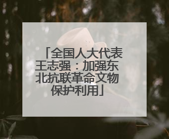 全国人大代表王志强：加强东北抗联革命文物保护利用