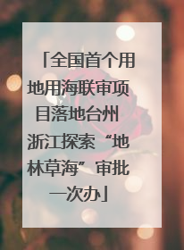 全国首个用地用海联审项目落地台州 浙江探索“地林草海”审批一次办