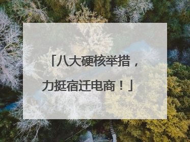 八大硬核举措，力挺宿迁电商！