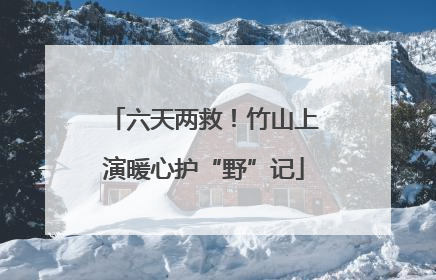 六天两救！竹山上演暖心护“野”记