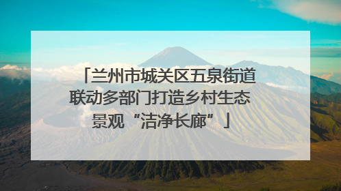 兰州市城关区五泉街道联动多部门打造乡村生态景观“洁净长廊”