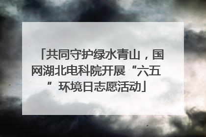 共同守护绿水青山，国网湖北电科院开展“六五”环境日志愿活动