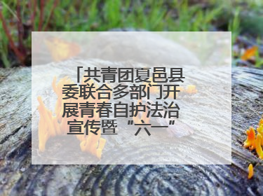 共青团夏邑县委联合多部门开展青春自护法治宣传暨“六一”主题日活动