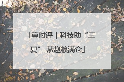 冀时评｜科技助“三夏” 燕赵粮满仓
