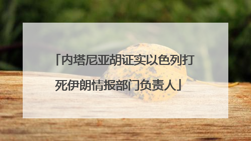 内塔尼亚胡证实以色列打死伊朗情报部门负责人