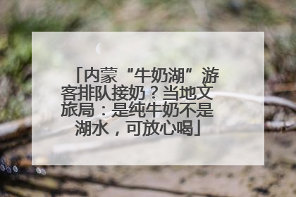 内蒙“牛奶湖”游客排队接奶？当地文旅局：是纯牛奶不是湖水，可放心喝