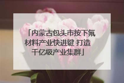 内蒙古包头市按下氟材料产业快进键 打造千亿级产业集群
