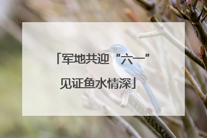 军地共迎“六一” 见证鱼水情深