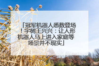 冠军机器人悉数登场！宇树王兴兴：让人形机器人马上进入家庭等场景并不现实