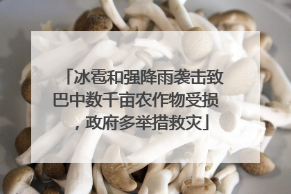 冰雹和强降雨袭击致巴中数千亩农作物受损，政府多举措救灾