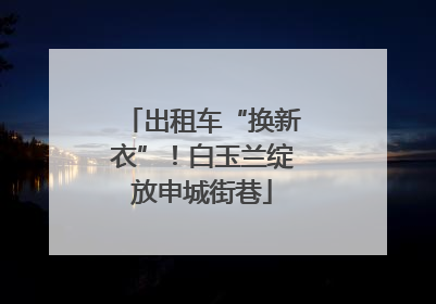 出租车“换新衣”！白玉兰绽放申城街巷