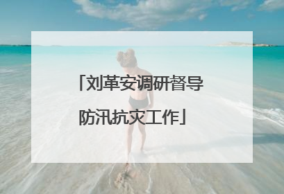 刘革安调研督导防汛抗灾工作