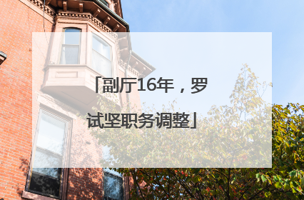 副厅16年，罗试坚职务调整