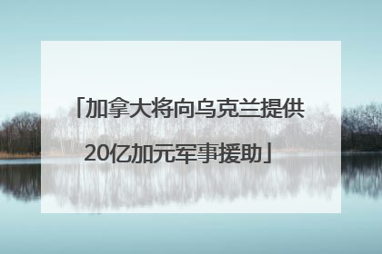 加拿大将向乌克兰提供20亿加元军事援助