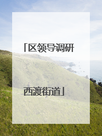 区领导调研西渡街道
