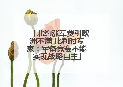 北约涨军费引欧洲不满 比利时专家：军备竞赛不能实现战略自主