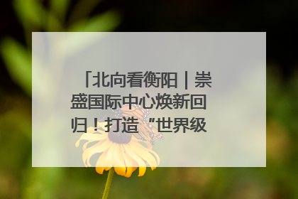 北向看衡阳｜崇盛国际中心焕新回归！打造“世界级美食主题公园”