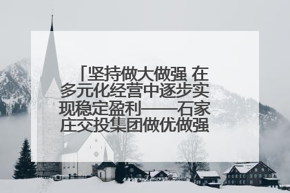 坚持做大做强 在多元化经营中逐步实现稳定盈利——石家庄交投集团做优做强典型报道之三
