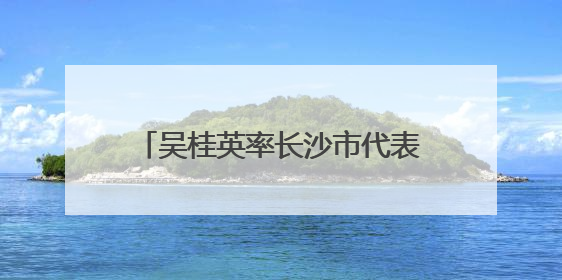 吴桂英率长沙市代表团访问沙特阿拉伯