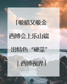 吸睛又吸金 西博会上乐山端出特色“硬菜”｜西博视界