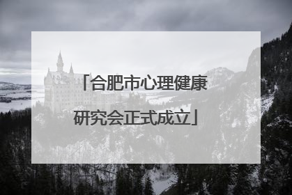 合肥市心理健康研究会正式成立
