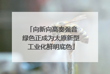 向新向高奏强音 绿色正成为太原新型工业化鲜明底色