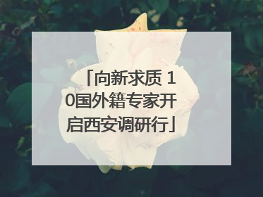 向新求质 10国外籍专家开启西安调研行