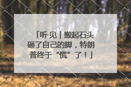 听·见｜搬起石头砸了自己的脚，特朗普终于“慌”了！