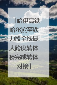 哈伊高铁哈尔滨至铁力段全线最大跨度转体桥完成转体对接