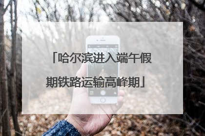 哈尔滨进入端午假期铁路运输高峰期