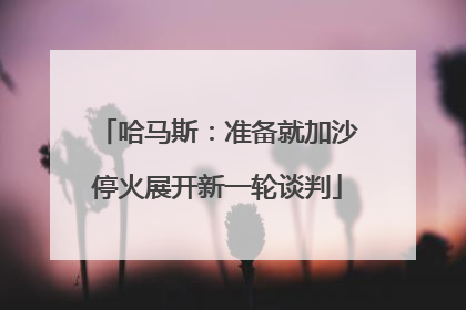 哈马斯：准备就加沙停火展开新一轮谈判