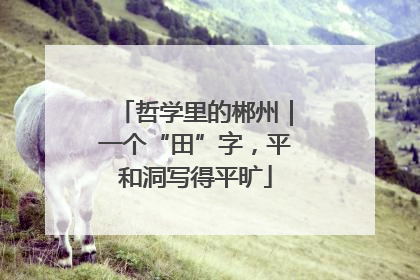 哲学里的郴州｜一个“田”字，平和洞写得平旷
