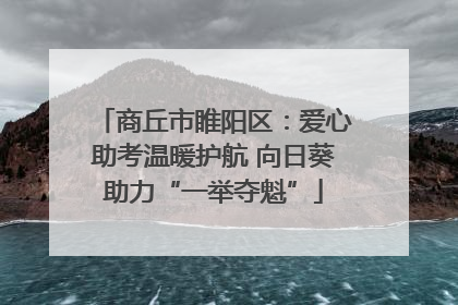 商丘市睢阳区：爱心助考温暖护航 向日葵助力“一举夺魁”