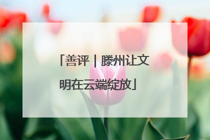 善评｜滕州让文明在云端绽放