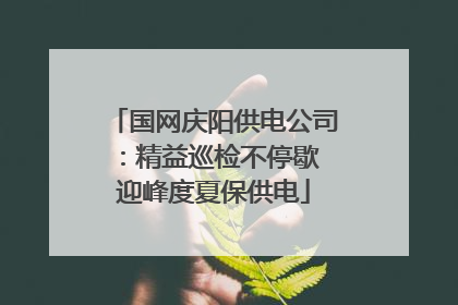 国网庆阳供电公司：精益巡检不停歇 迎峰度夏保供电