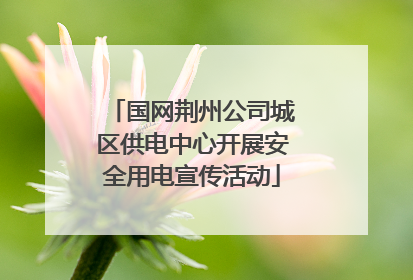 国网荆州公司城区供电中心开展安全用电宣传活动
