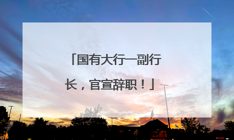 国有大行一副行长，官宣辞职！