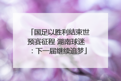 国足以胜利结束世预赛征程 湖南球迷：下一届继续追梦