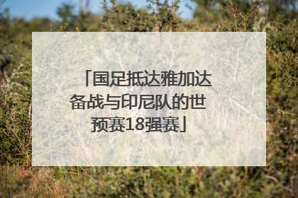 国足抵达雅加达备战与印尼队的世预赛18强赛