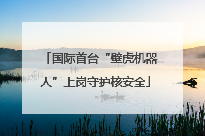 国际首台“壁虎机器人”上岗守护核安全