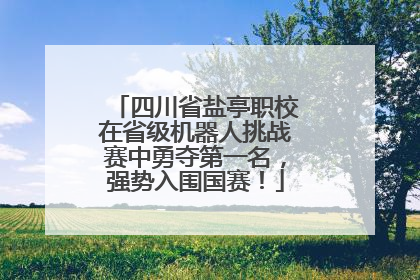 四川省盐亭职校在省级机器人挑战赛中勇夺第一名，强势入围国赛！