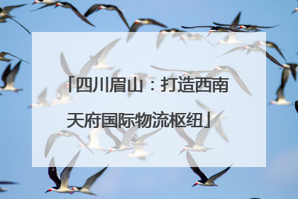 四川眉山：打造西南天府国际物流枢纽