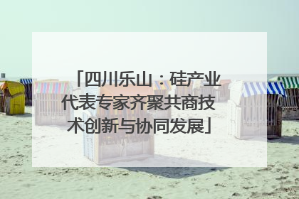 四川乐山：硅产业代表专家齐聚共商技术创新与协同发展