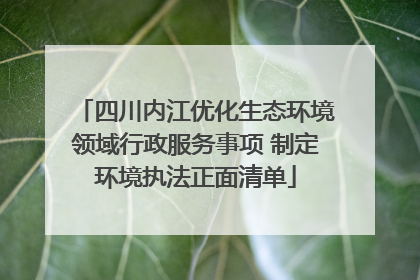 四川内江优化生态环境领域行政服务事项 制定环境执法正面清单