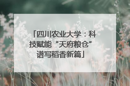 四川农业大学：科技赋能“天府粮仓”谱写稻香新篇
