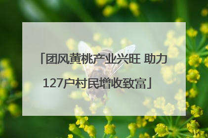团风黄桃产业兴旺 助力127户村民增收致富