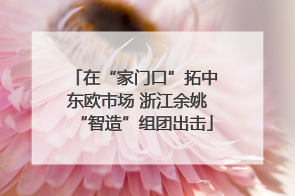 在“家门口”拓中东欧市场 浙江余姚“智造”组团出击