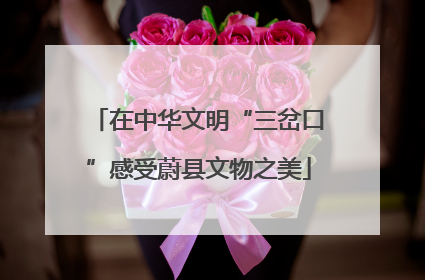在中华文明“三岔口”感受蔚县文物之美