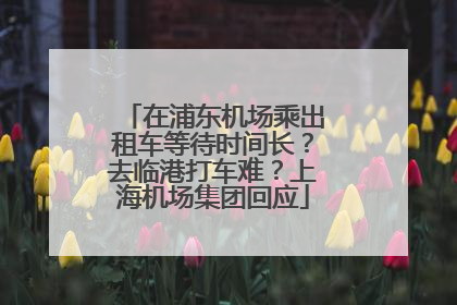 在浦东机场乘出租车等待时间长？去临港打车难？上海机场集团回应